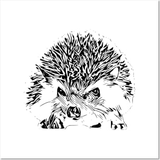 Hedgehog Posters and Art